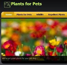 Plants for Pets Website